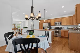 789 Bristle Pine Cir, Highlands Ranch, CO 80129 - Photo 18