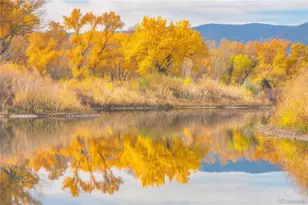 7205 W Clifton Ave, Littleton, CO 80128 - Photo 30