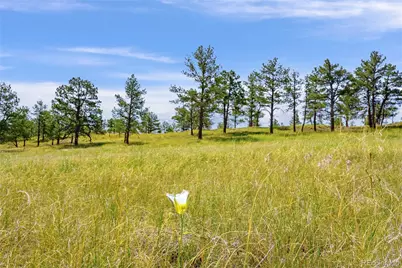 Parcel B County Road 77, Calhan, CO 80808 - Photo 2