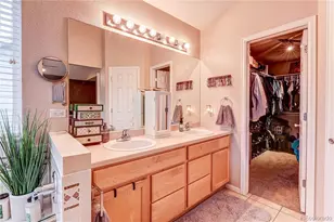 187 Apache Plume Ct, Brighton, CO 80601 - Photo 26