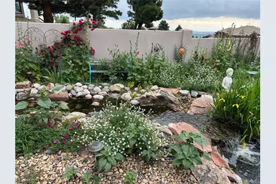 6698 Condor Run, Littleton, CO 80125 - Photo 44