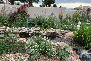 6698 Condor Run, Littleton, CO 80125 - Photo 44