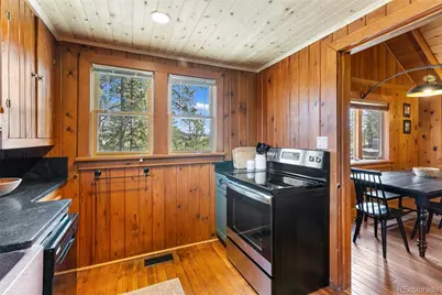 45 Conductor Lane, Lake George, CO 80827 - Photo 14