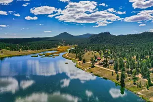 45 Conductor Ln, Lake George, CO 80827 - Photo 50