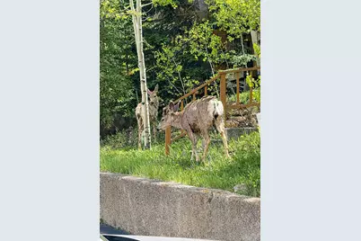 132 Burgundy Circle, Silverthorne, CO 80498 - Photo 50