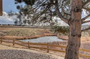 3727 Cactus Creek Ct, Highlands Ranch, CO 80126 - Photo 34