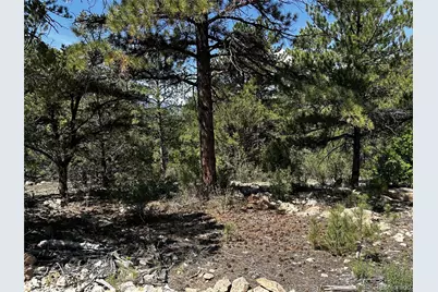 1380&1410 Oak Drive, Westcliffe, CO 81252 - Photo 6