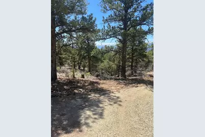 1380&1410 Oak Drive, Westcliffe, CO 81252 - Photo 18