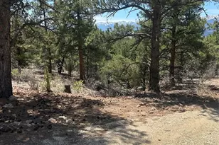 1380&1410 Oak Dr, Westcliffe, CO 81252 - Photo 18