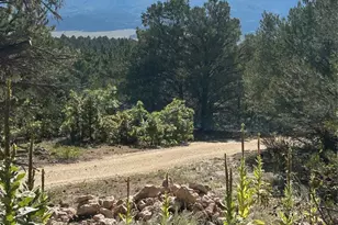 1380&1410 Oak Dr, Westcliffe, CO 81252 - Photo 16