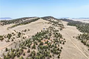 142 June Ln, Hartsel, CO 80449 - Photo 28