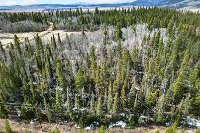 Georgia Pass Lookout Rd, Jefferson, CO 80456 - Photo 20