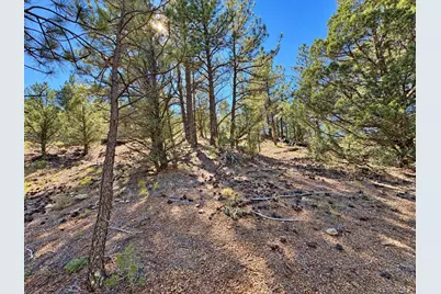 103 Cheyenne Court, Cotopaxi, CO 81223 - Photo 10