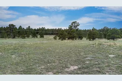 11809 Flap Jack Lane, Colorado Springs, CO 80908 - Photo 10