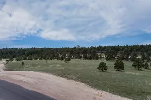 11809 Flap Jack Ln, Colorado Springs, CO 80908 - Photo 1