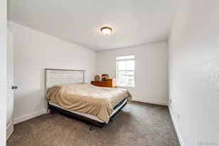 6579 Steuben Way, Castle Rock, CO 80108 - Photo 28