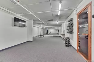 955 Eudora St, Denver, CO 80220 - Photo 32