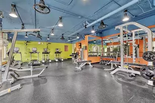 955 Eudora St, Denver, CO 80220 - Photo 28