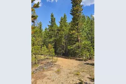 000 Virginia Canyon Road, Central City, CO 80427 - Photo 2