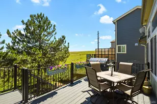 7267 Mountain Brush Ln, Highlands Ranch, CO 80130 - Photo 40