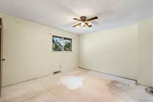 3627 W Union Ave, Denver, CO 80236 - Photo 14