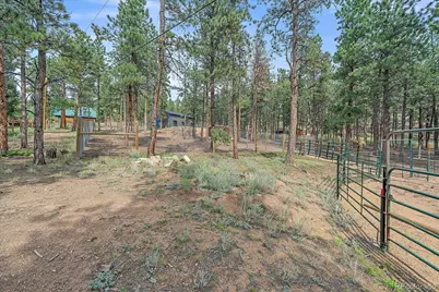 104 Six Bits Street, Bailey, CO 80421 - Photo 36