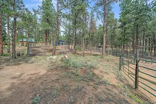 104 Six Bits St, Bailey, CO 80421 - Photo 36