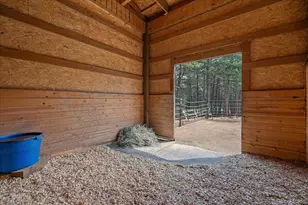 104 Six Bits St, Bailey, CO 80421 - Photo 34