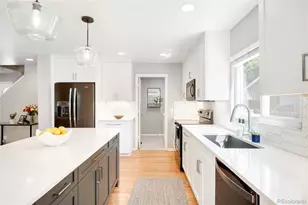 3729 Dahlia St, Denver, CO 80207 - Photo 10