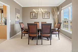 1164 Hondo Ct, Castle Rock, CO 80104 - Photo 10