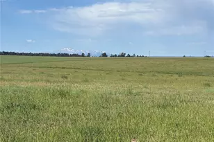 Parcel 4 County Road 33, Elbert, CO 80106 - Photo 1