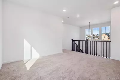 9227 Gold Lace Place, Highlands Ranch, CO 80129 - Photo 20