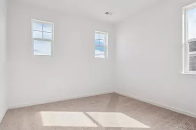 9227 Gold Lace Place, Highlands Ranch, CO 80129 - Photo 24