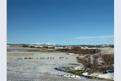 4166 S Castlewood Canyon Road, Castle Rock, CO 80104 - Photo 48