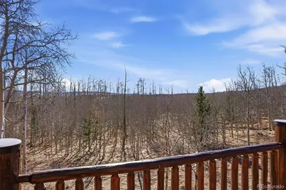 252 Iron Mountain Road, Fairplay, CO 80440 - Photo 36