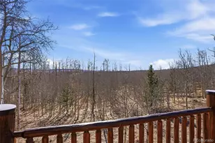 252 Iron Mountain Rd, Fairplay, CO 80440 - Photo 36