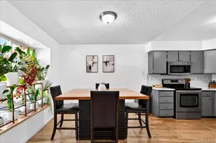 10220 Quivas St, Thornton, CO 80260 - Photo 4