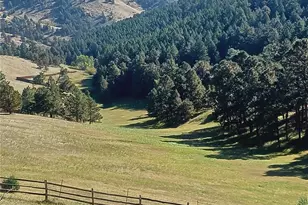 21849 Cabrini Blvd, Golden, CO 80401 - Photo 42