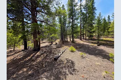 322 Fir Drive, Twin Lakes, CO 81251 - Photo 18