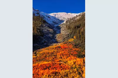 322 Fir Drive, Twin Lakes, CO 81251 - Photo 28