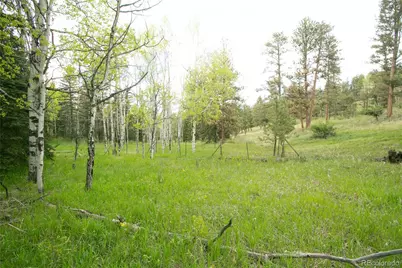 29055 S Sunset Trail, Conifer, CO 80433 - Photo 12