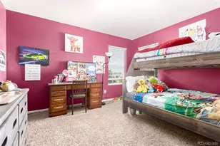 3505 Dinosaur St, Castle Rock, CO 80109 - Photo 18