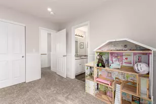 10834 Belle Creek Blvd, Commerce City, CO 80640 - Photo 34