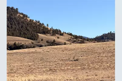 Lots 21 & 24 Thrush Lane, Hartsel, CO 80449 - Photo 16
