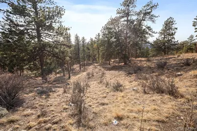 260 Bailey Drive, Bailey, CO 80421 - Photo 10