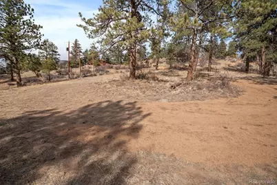 260 Bailey Drive, Bailey, CO 80421 - Photo 6