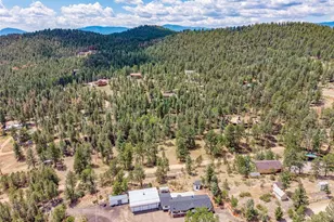 33758 Harmon Rd, Pine, CO 80470 - Photo 46