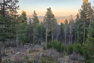 87 Circle Rd, Golden, CO 80403 - Photo 14