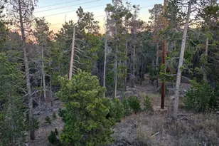 87 Circle Rd, Golden, CO 80403 - Photo 10