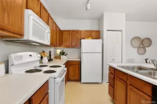 10715 Twenty Mile Road, Parker, CO 80134 - Photo 14